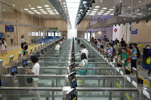 中國科技網 引領網絡技術服務創新，賦能數字中國建設
